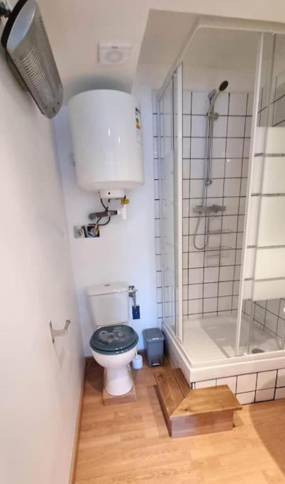 Studio En Rez De Jardin Avec Terrasse Privee - Le Petit Chateau Avesnois - Tv - Wifi - Logement Complet Avesnes-sur-Helpe Exteriér fotografie